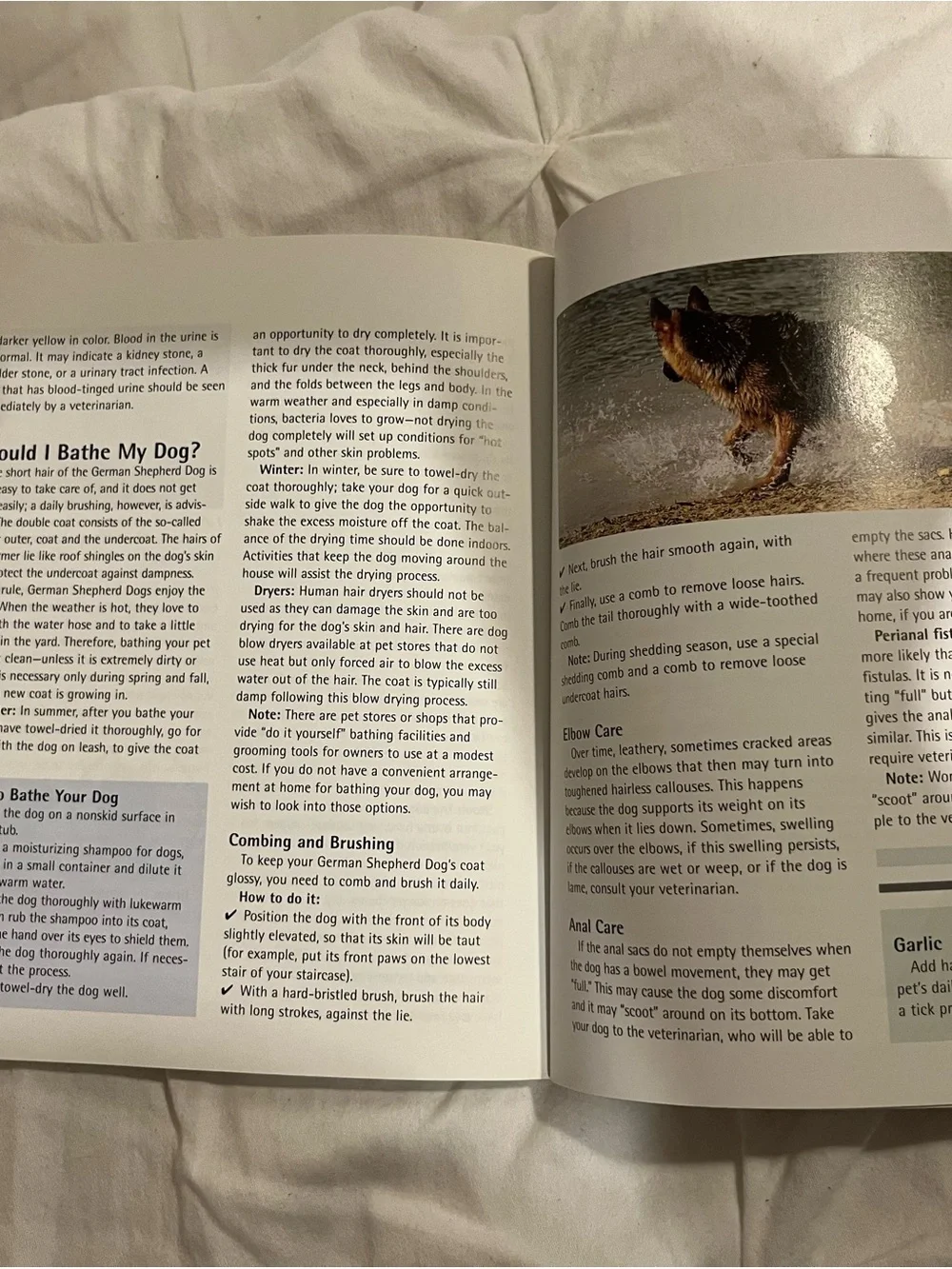 The German Shepherd Dog - Brown/Black Cover